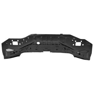 TOLVA CALAVERA NS SENTRA 20-25 LAMINA
