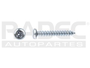 PIJA CAB PLANA TORX CROM 4.2-1.41 X 25MM USA